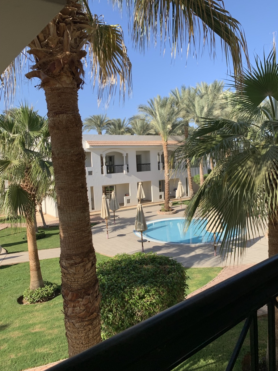 Вид из номера