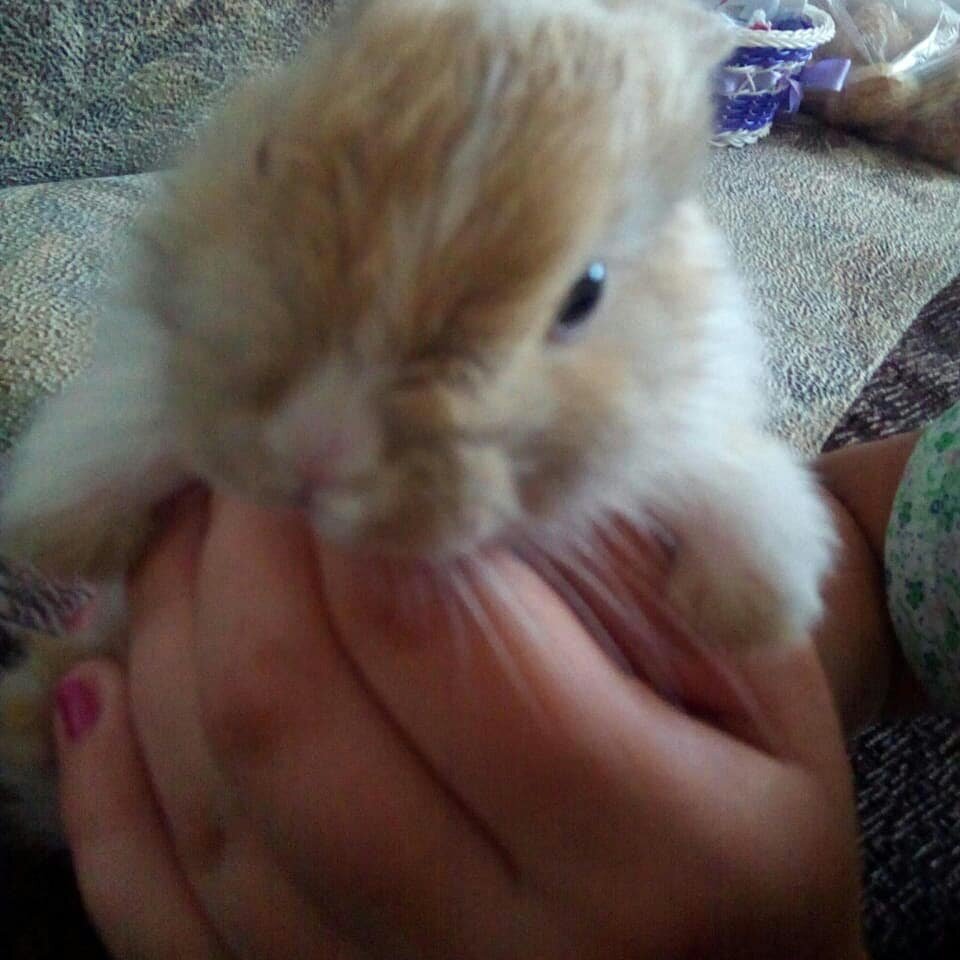 Малюсенький был такой. Милота наша!