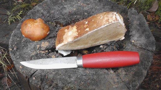 Правка ножа по-бушкрафтерски (на трутовике березовом, piptoporus betulinus). Заточка ножа в лесу