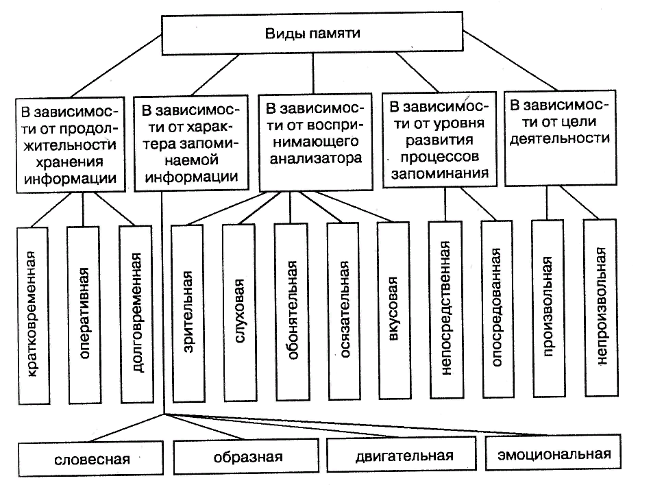 Виды памяти схема