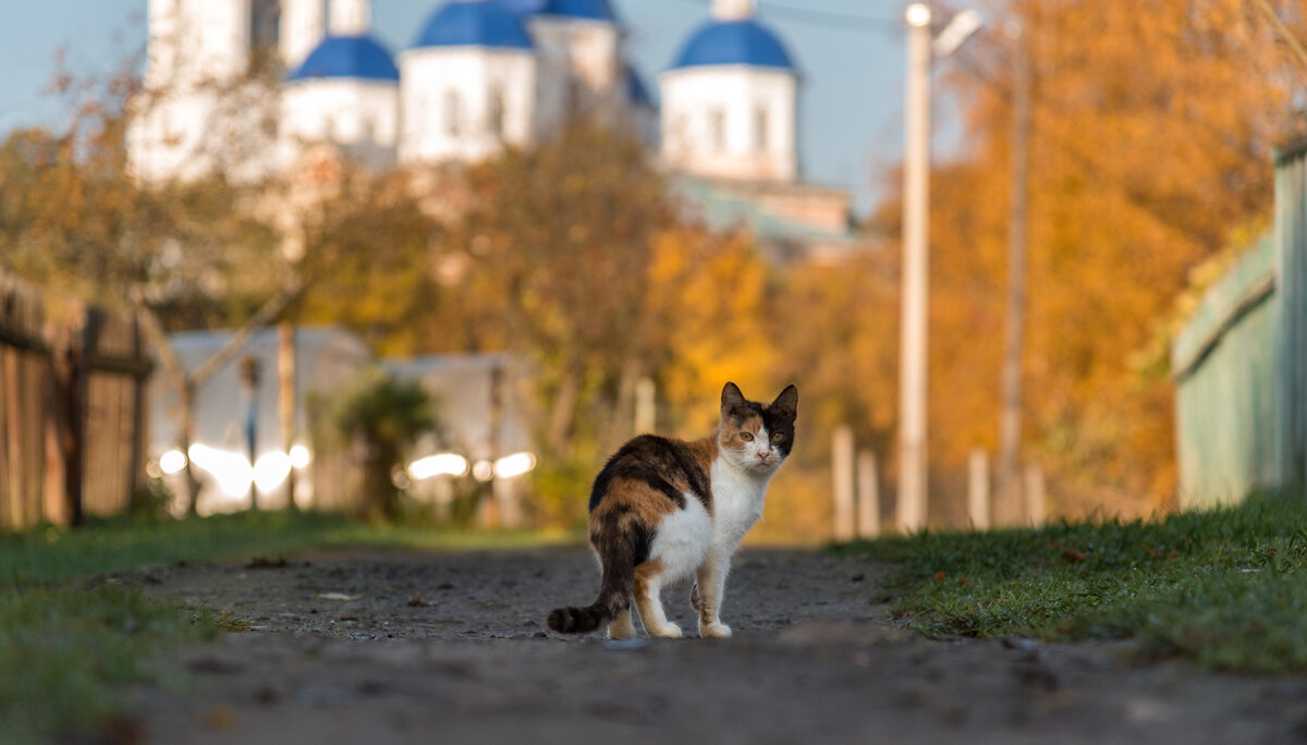 Фото: Вадим Копылов