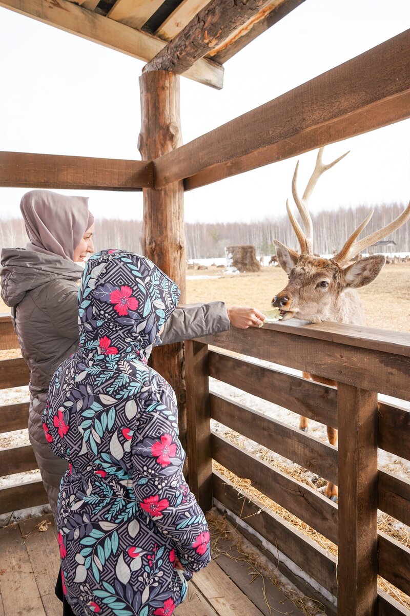 Фото - пресс-служба АНО "ЦРСИиД "БАРС" при копирование фотографии указывайте ссылку на ресурс обязательна.