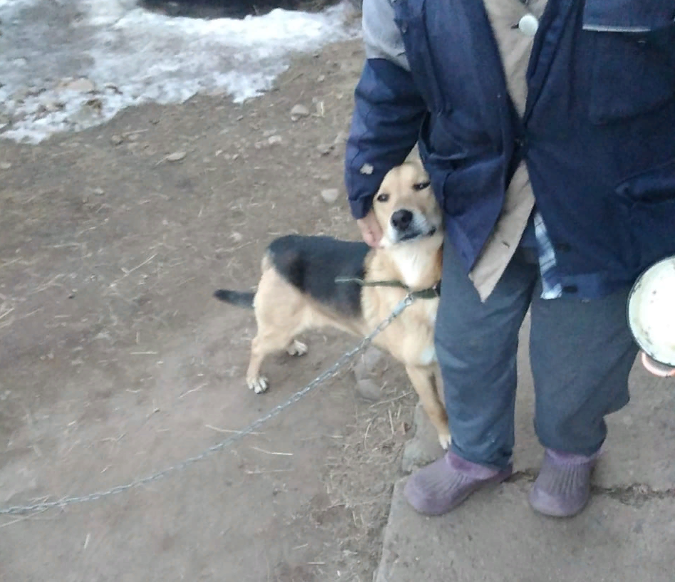 На новом месте