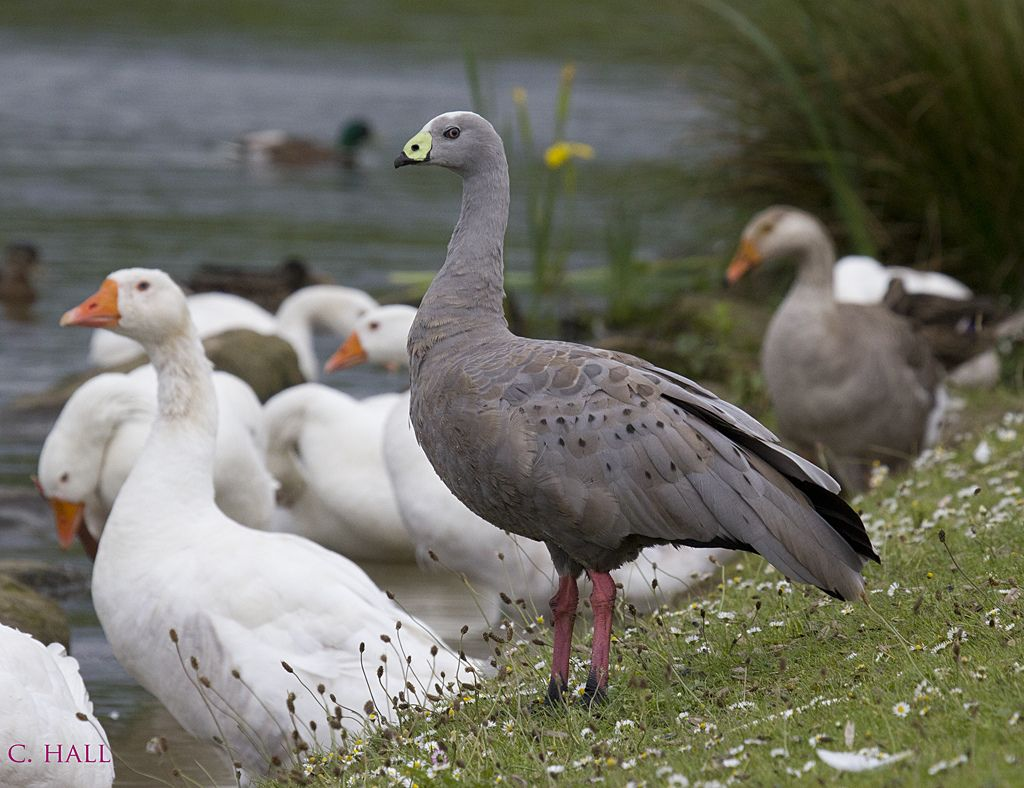 Так кто же я?..