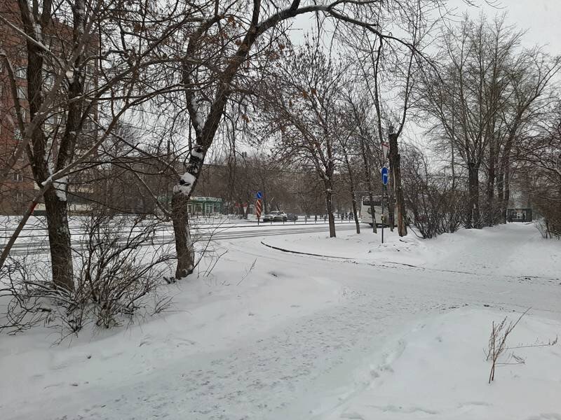 Как показывает практика, для клещей снег не помеха, и вот по такой погоде можно словить клеща.