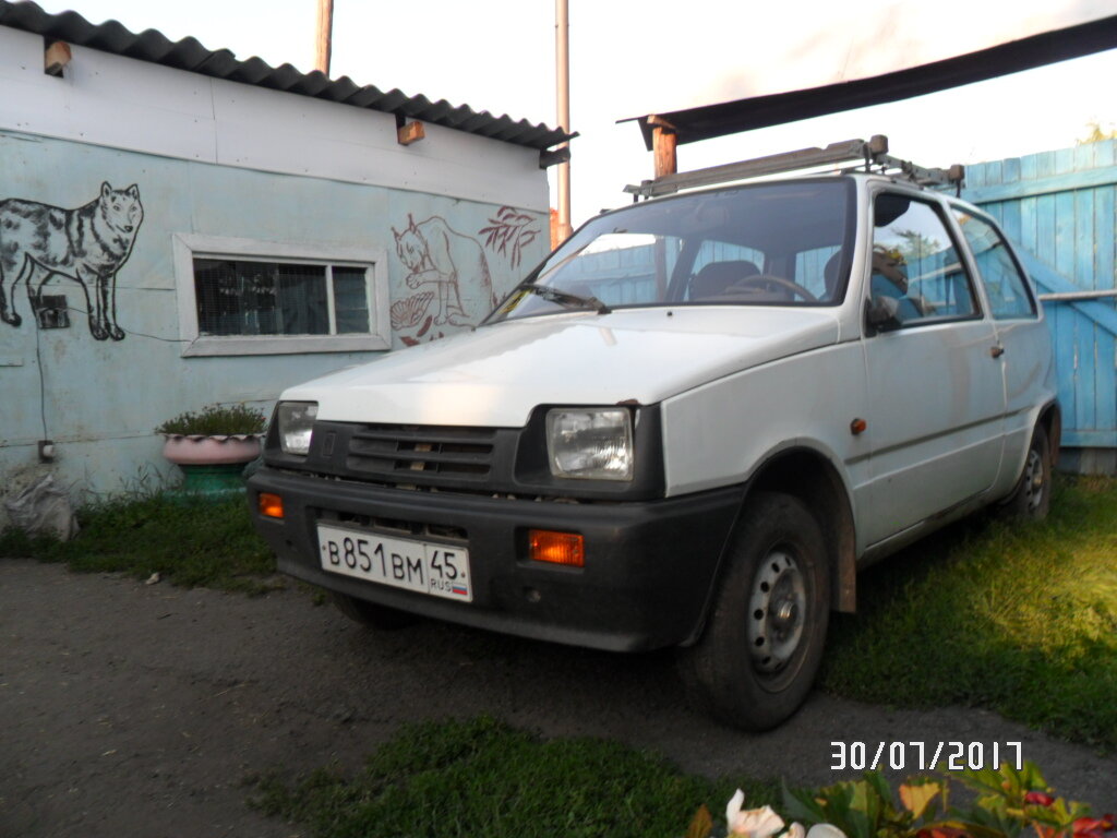 Деревенский гараж и его владычица.