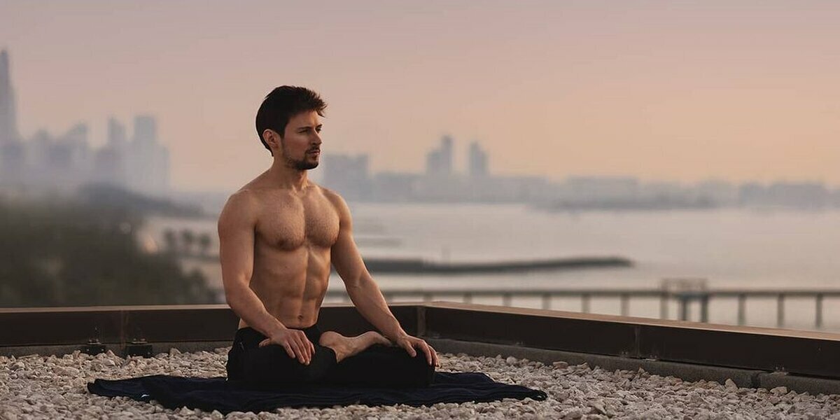 Он не обладает огромным количеством мышц, но всё равно впечатляет для 2-х приёмов пищи.|Фото:Яндекс.Дзен.