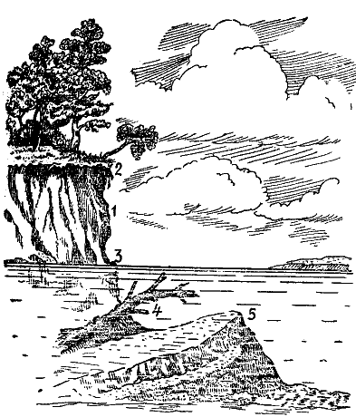 Нечистый яр: 1 — яр; 2 — бровка яра; 3 — урез воды; 4 — свалившееся дерево; 5 — подводная печина