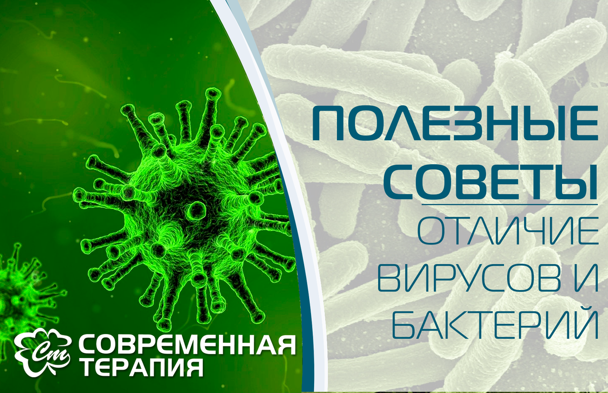 Virus v. Борьба с инфекцией. Антибиотики и вирусы. Защита от бактерий и вирусов в офисе. Вирусы и бактерии в чем разница.