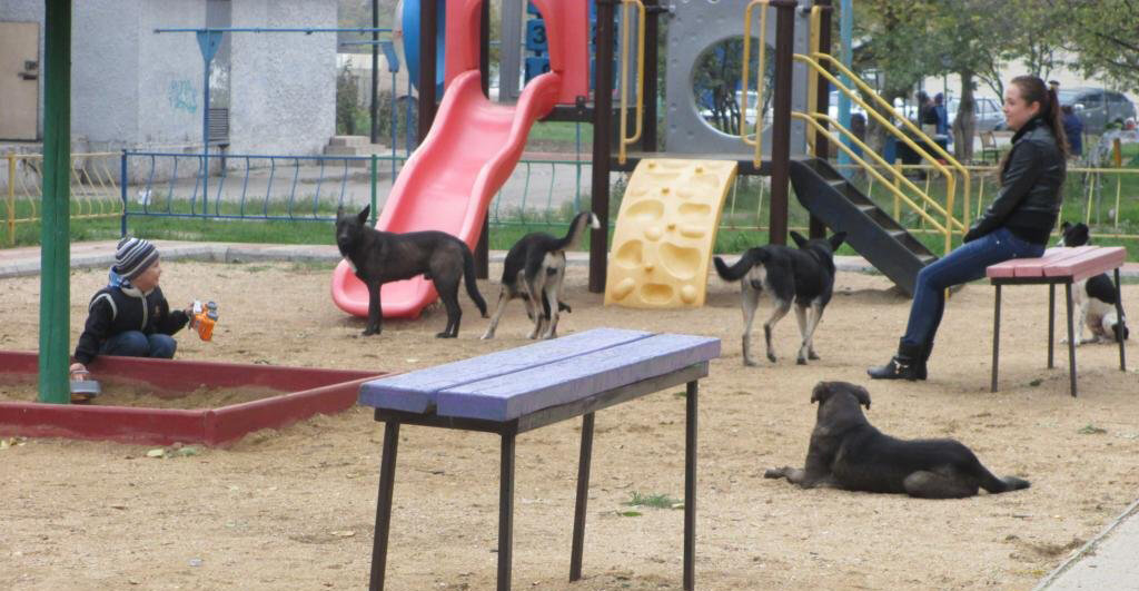 Фото из сети интернет