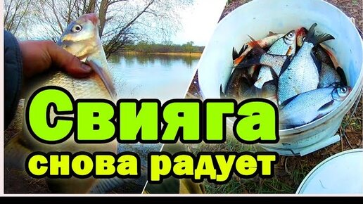 Рыбалка на реке Свияга. 6 мая 2021г. с. Исаково