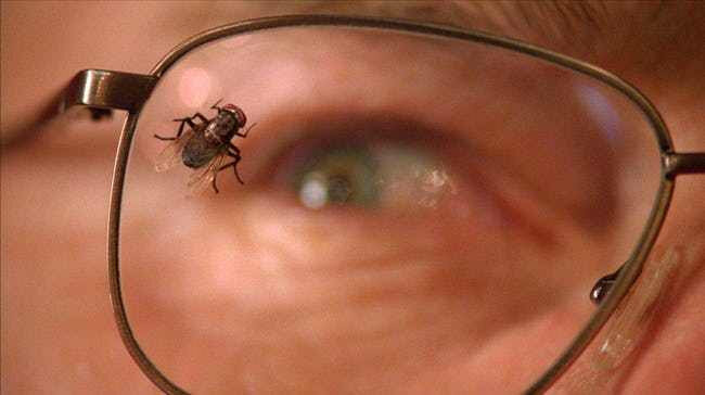 Кадр из эпизода "Муха", сериал "Во все тяжкие" (Breaking Bad)