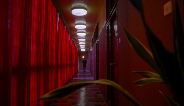 Фото взято из открытых источников