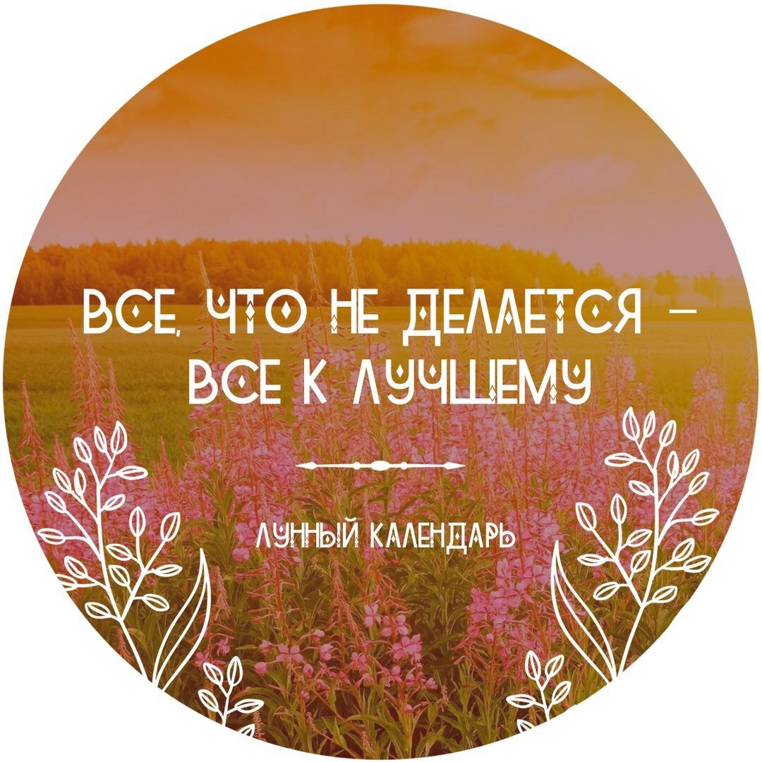 9 лун день. Аффирмация 8 лунного дня. Аффирмации. Аффирмация на 8 лунные сутки. Аффирмации дня.