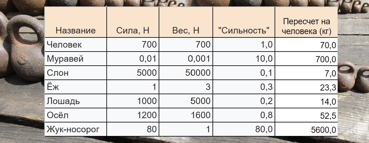 Сравнительная табличка "сильности" животных и человека.