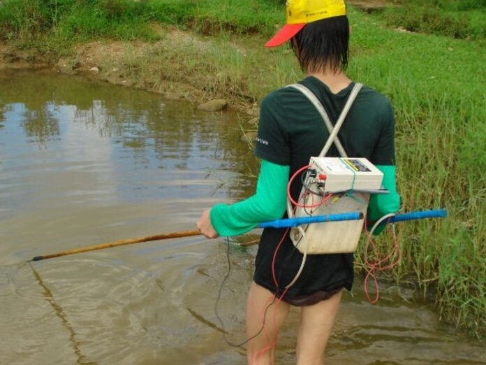 Самодельный электрошокер.