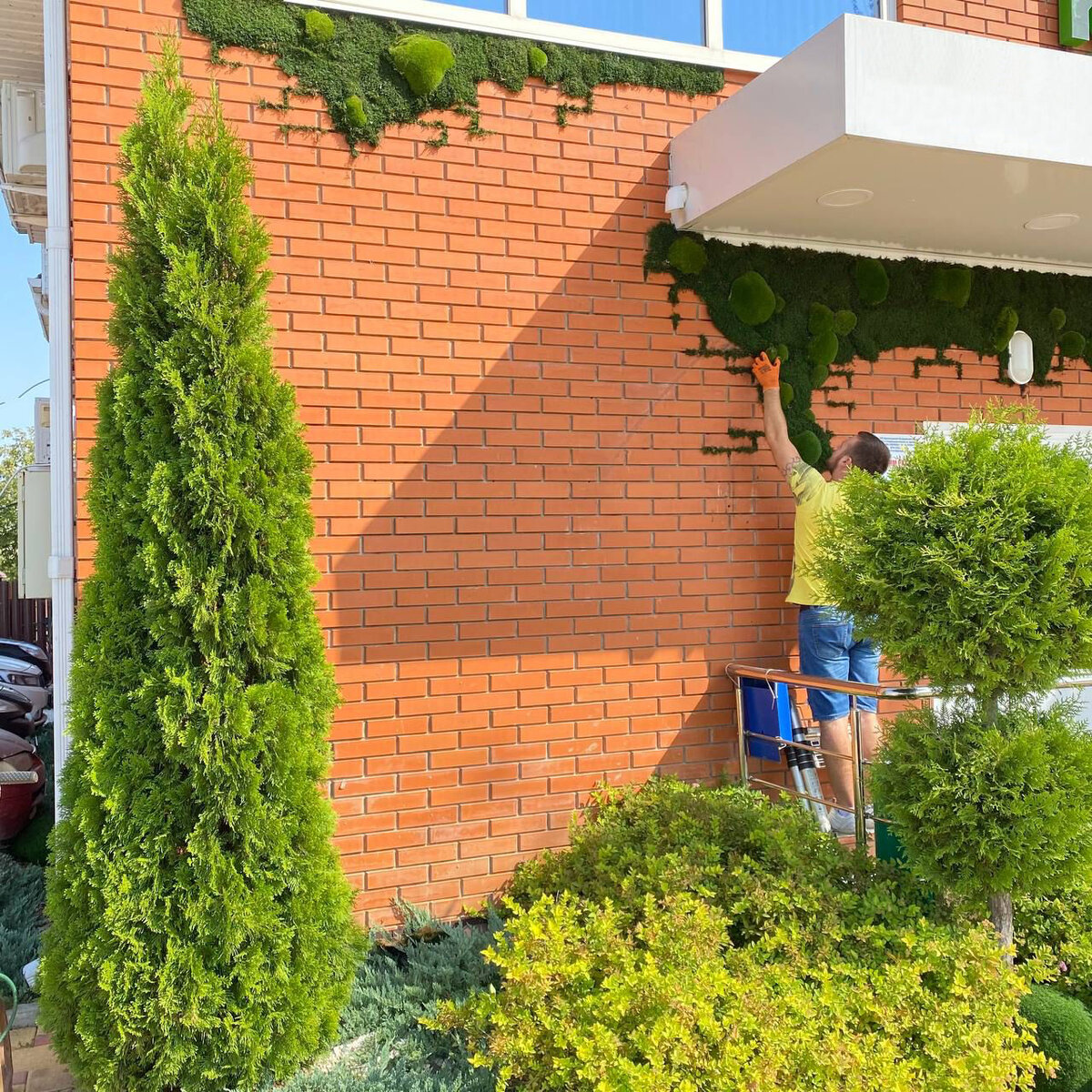 Уличный мох. Новинка Moss Space