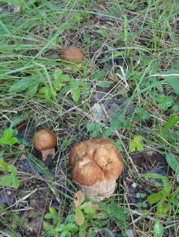 -2-3