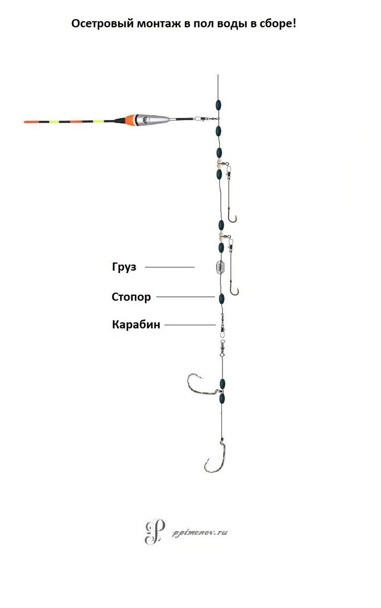 Монтаж на платник. Монтаж на осетра на платнике. Оснастка для ловли осетра на платнике. Монтаж для ловли осетра на платнике. Снасти для ловли осетра на платнике.