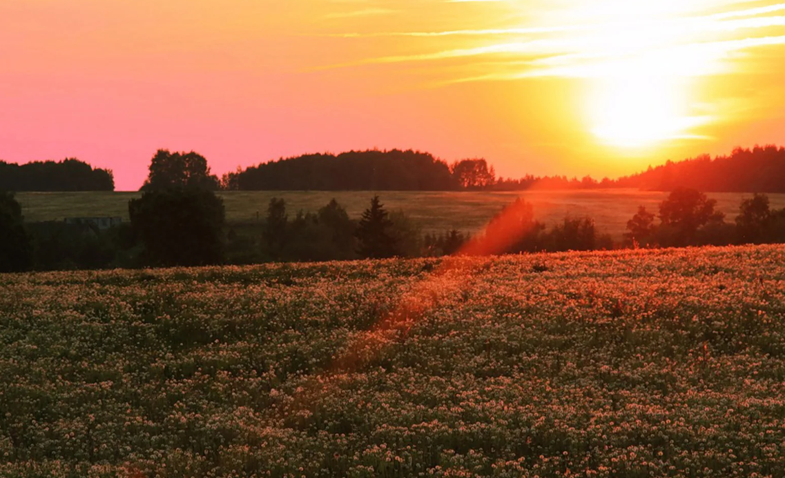 Яндекс картинки