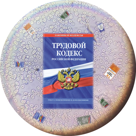 Новации за 6 месяцев