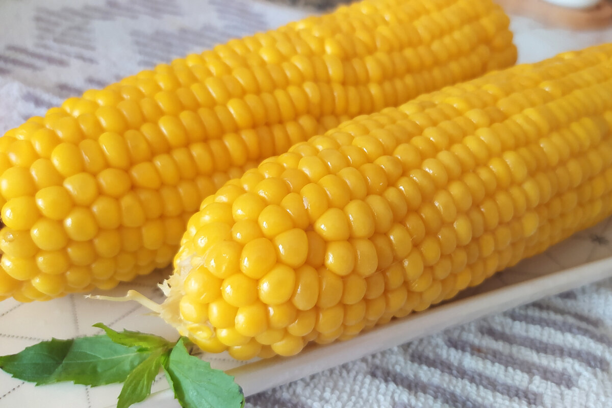 Фото из личного архива автора.