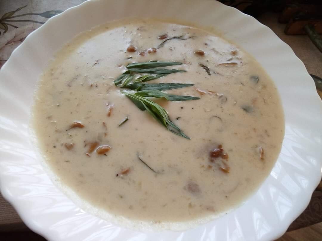 Kantarellikeitto - финский крем-суп с лисичками. Фото автора