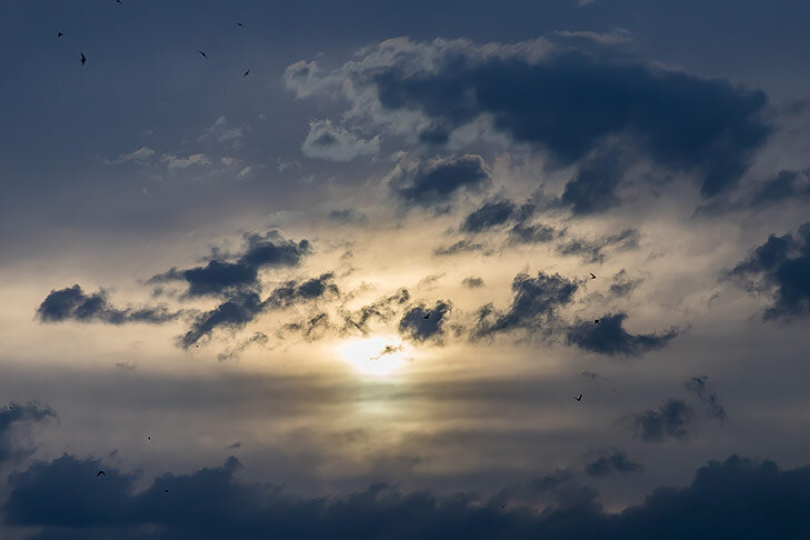    Фото Андрея Заржецкого