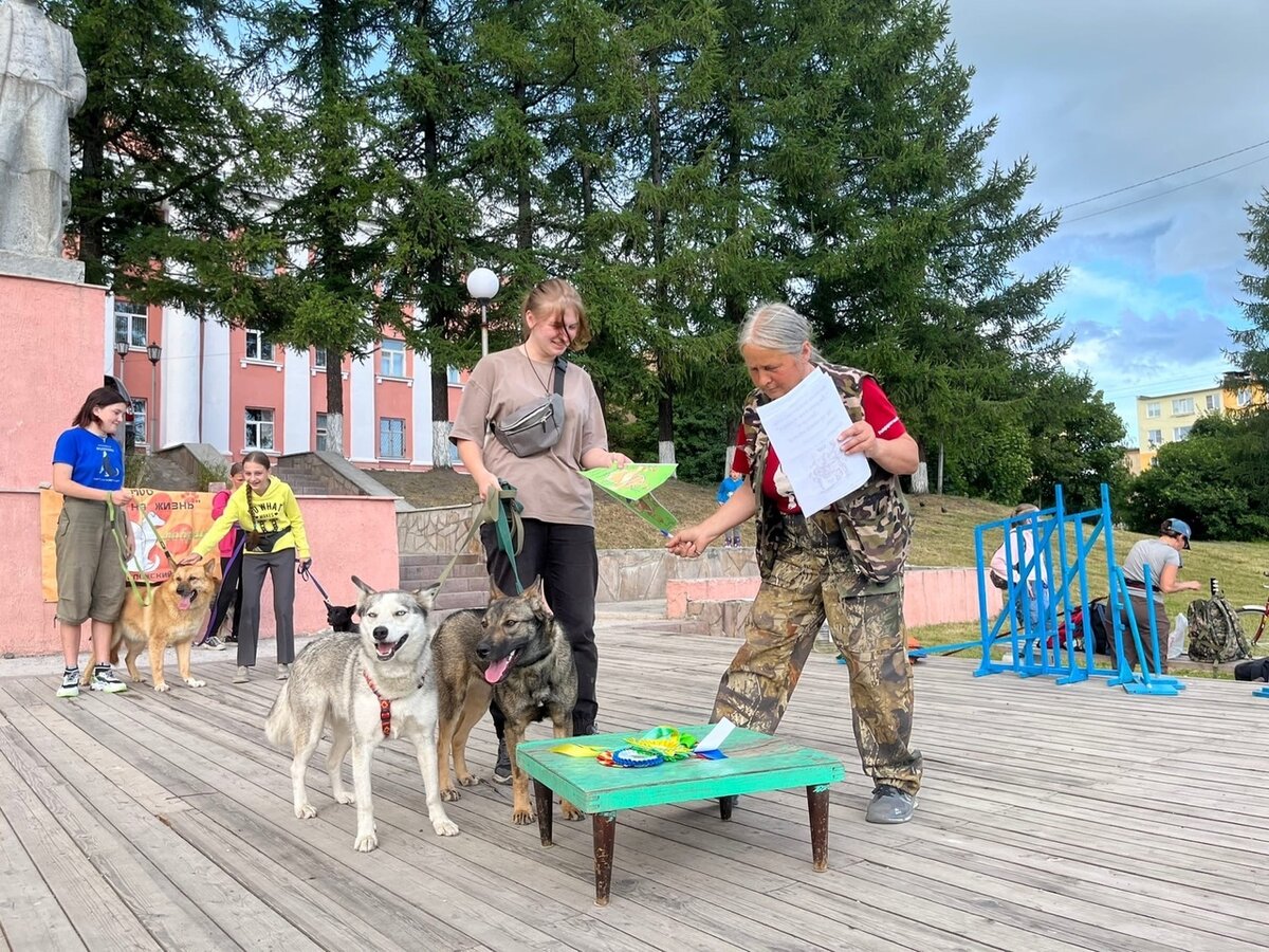 Выставка беспородных собак "Дворянский титул"