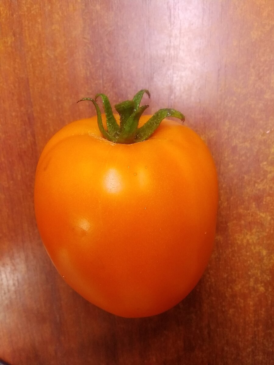 томат мармеладный. томат мармеладка. томат мармелад оранжевый отзывы. томат мармеладный уральский дачник. семена томат мармелад желтый.