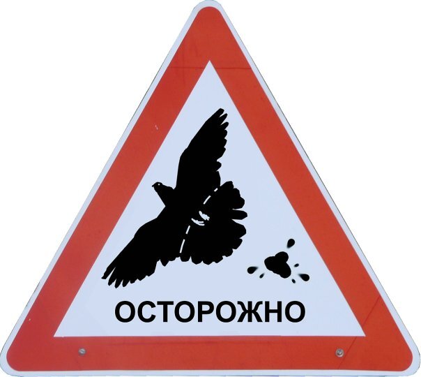 Картинка осторожно бисер