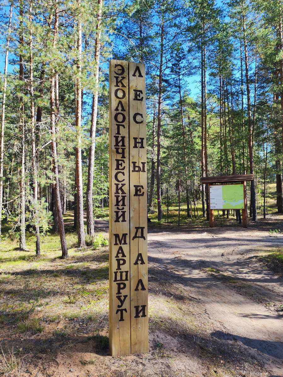 Начало экологического маршрута "Лесные дали"