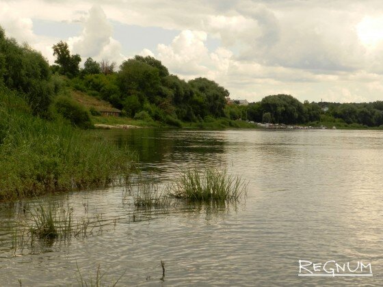   Дон Анна Кумицкая © ИА REGNUM