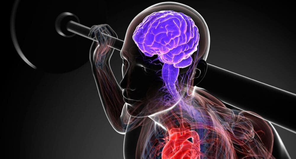 Мышечная память атлета