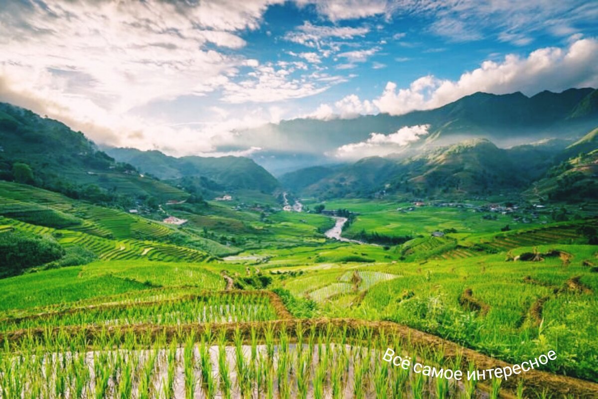 Источник: https://zen.yandex.ru/80sek