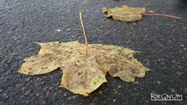    Осень Марина Захарова © ИА REGNUM