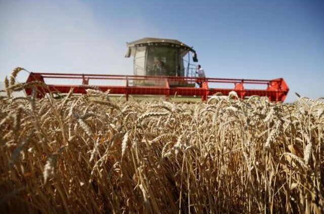    Сбор урожая Dsh.krasnodar.ru