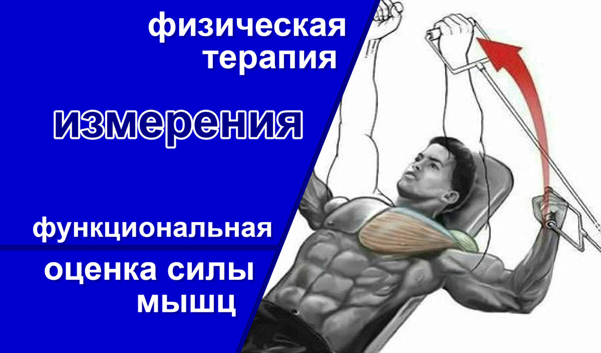 Оценка силы мышц. Оценка силы мышц
