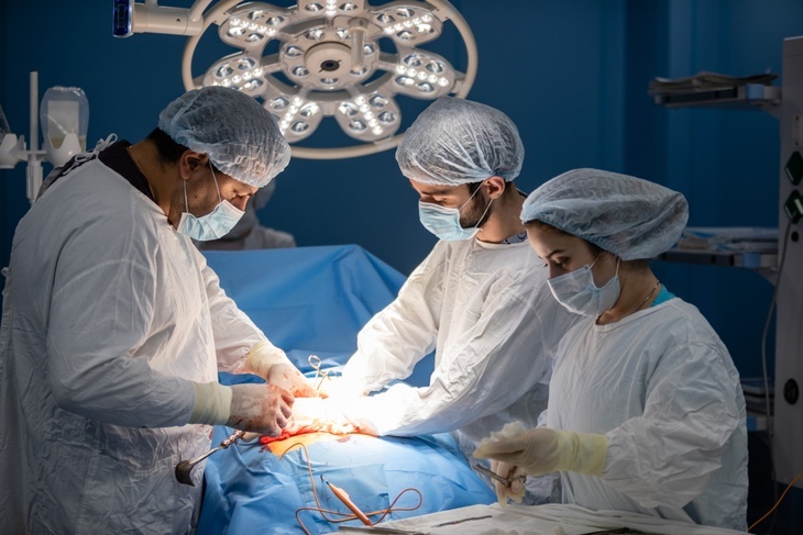 Фото: Дмитрий АХМАДУЛЛИН. Фотобанк КП
