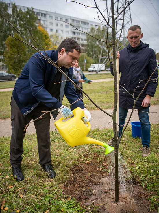     Фото admin-smolensk.ru