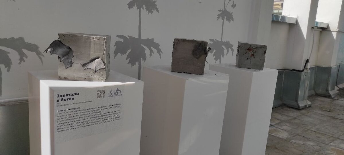 Автор: Наталья Выморкова