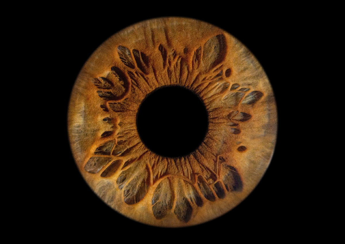 На фото: примеры фоторабот