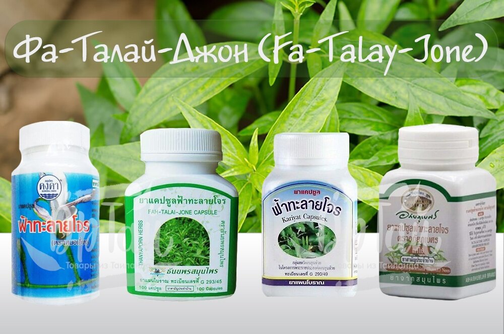 Фа Талай Джон - натуральный антибиотик из Таиланда