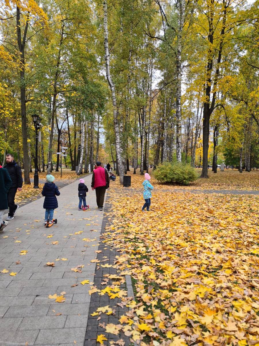 Вход со стороны главного Останкинского пруда