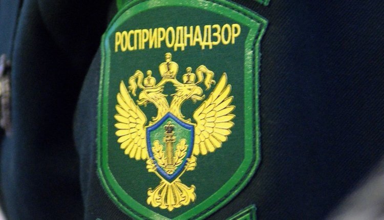 Фото: rpn.gov.ru