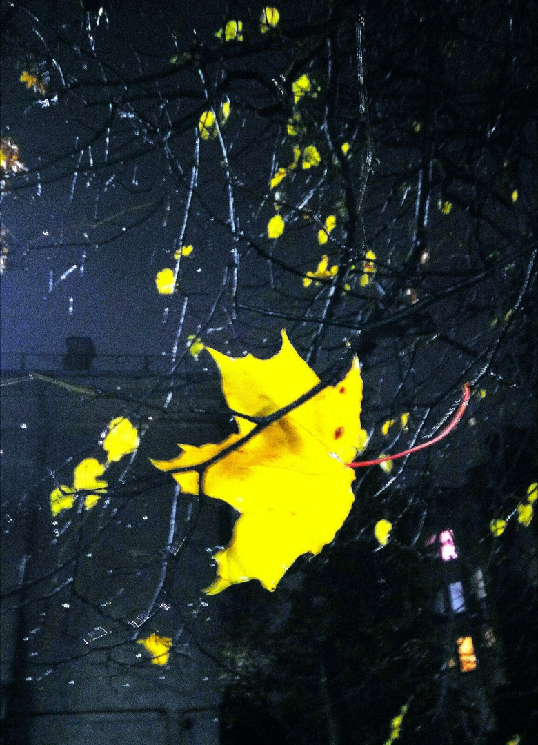 Юлия Черныш