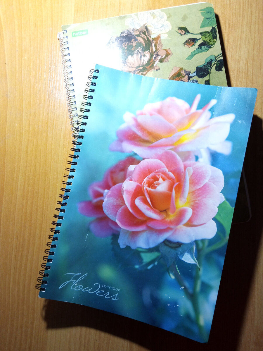 Одной тетради оказалось мало...