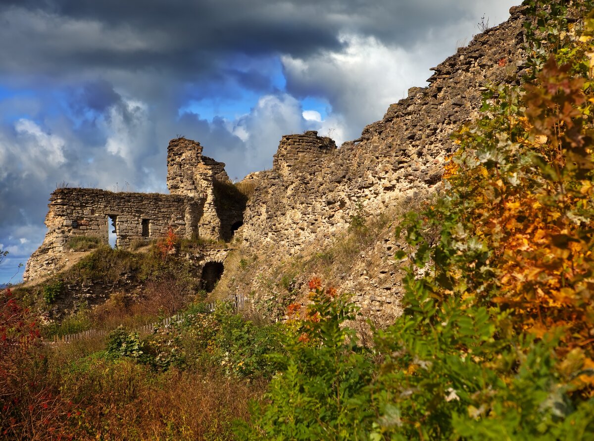 Фото: KKulikov / Shutterstock