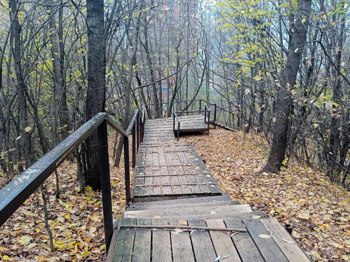 Фотография сделана мной. 