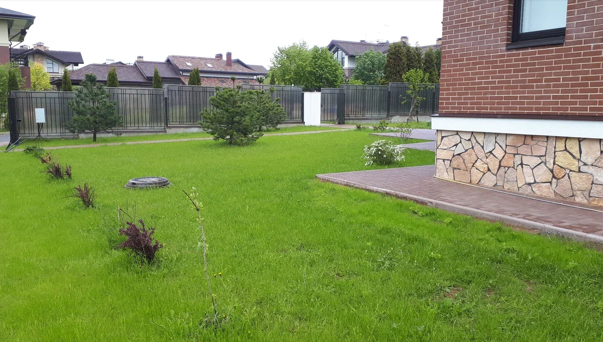 Фотография взята из источника sovet.boltai.com